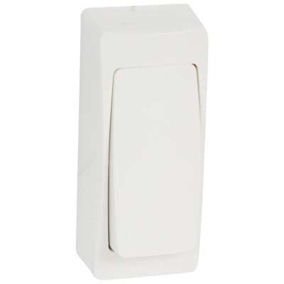 Bouton-poussoir 6A - 250V compact blanc avec boîtier RAL 9010 Oteo Legrand