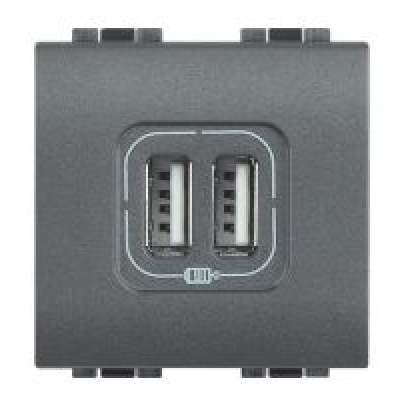 Prise d'alimentation USB double 5V/2400mA 2 modules anthracite Living Light Bticino